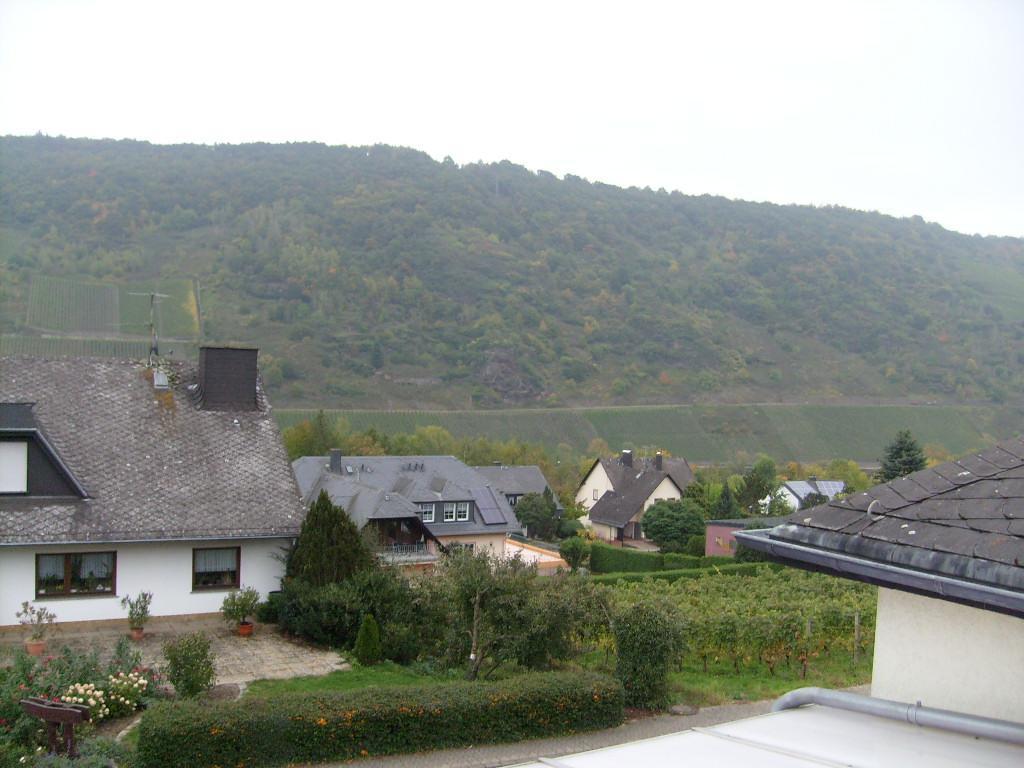 Pension Kroth an der Mosel Briedel Exterior foto